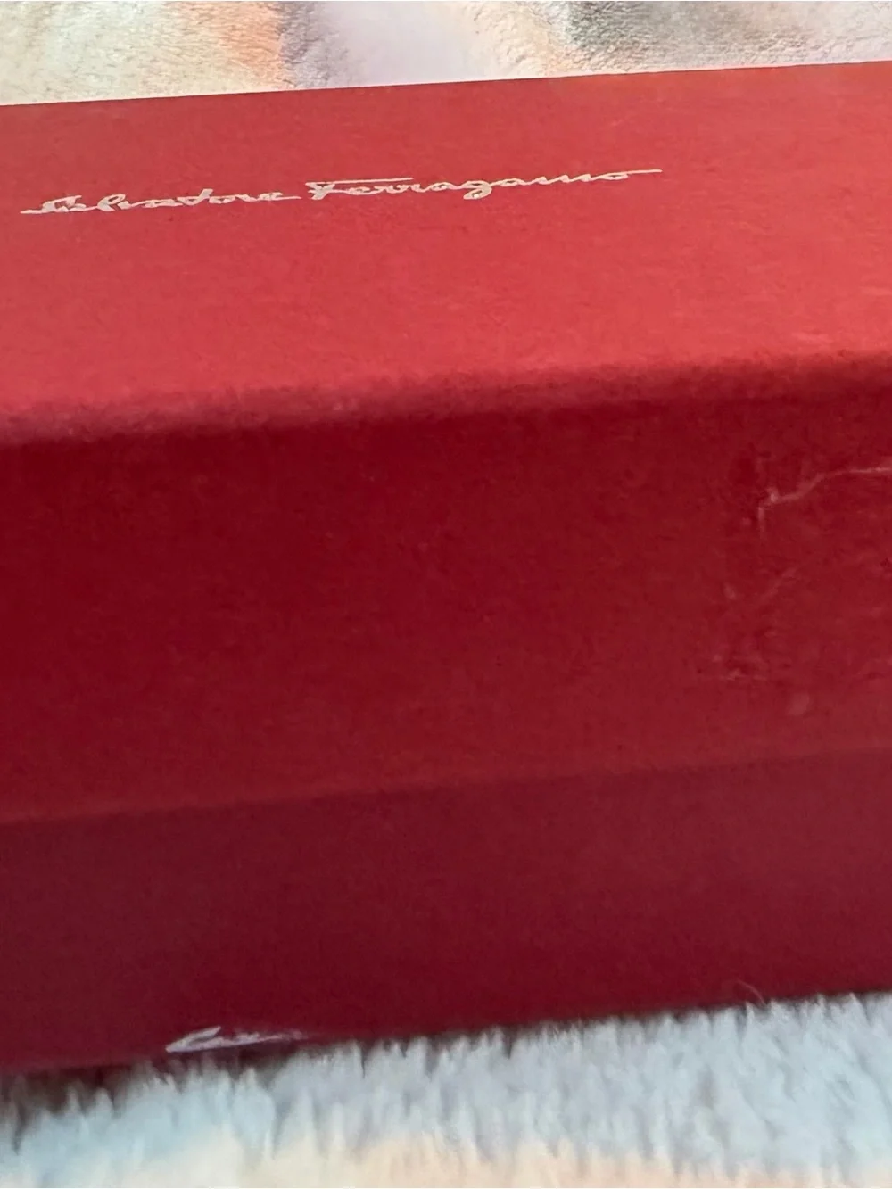 Salvatore Ferragamo Red Box with a Suede cloth branded